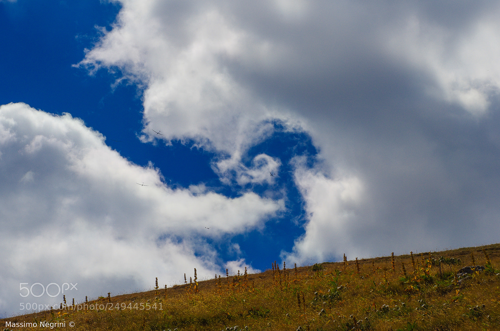 Pentax K-5 IIs sample photo. Gliders photography