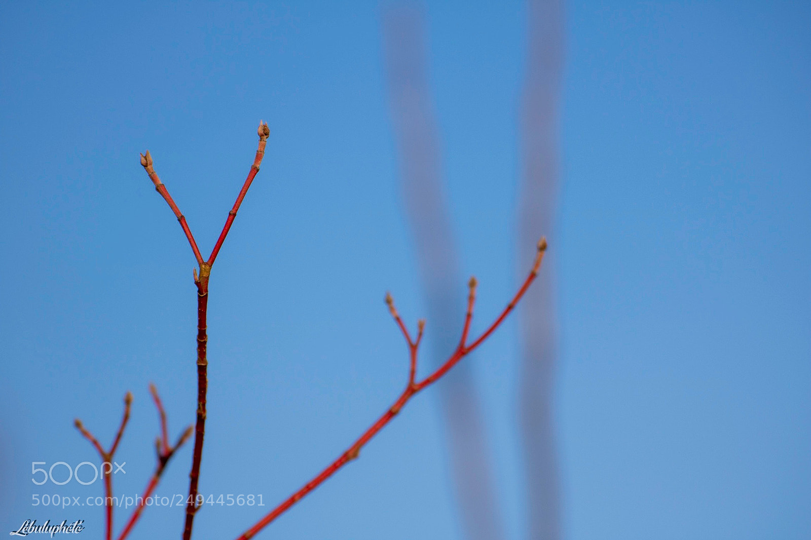 Canon EOS 750D (EOS Rebel T6i / EOS Kiss X8i) sample photo. Untitled photography