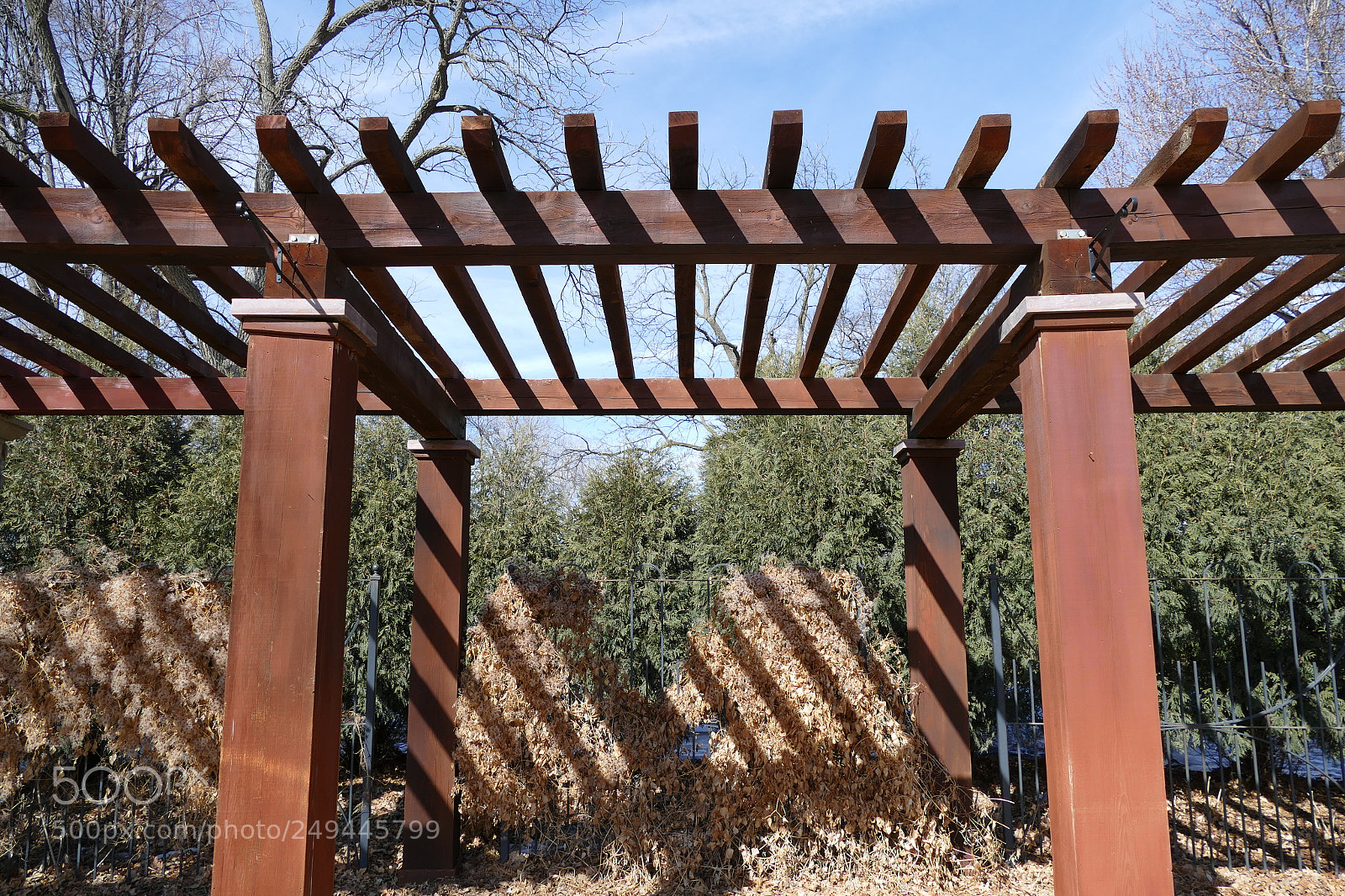 Panasonic Lumix DMC-FZ1000 sample photo. Pergola photography
