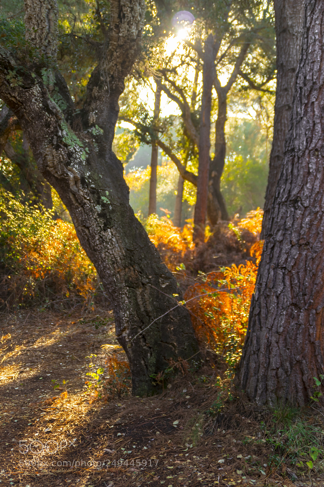 Canon EOS 80D sample photo. Hdr photography