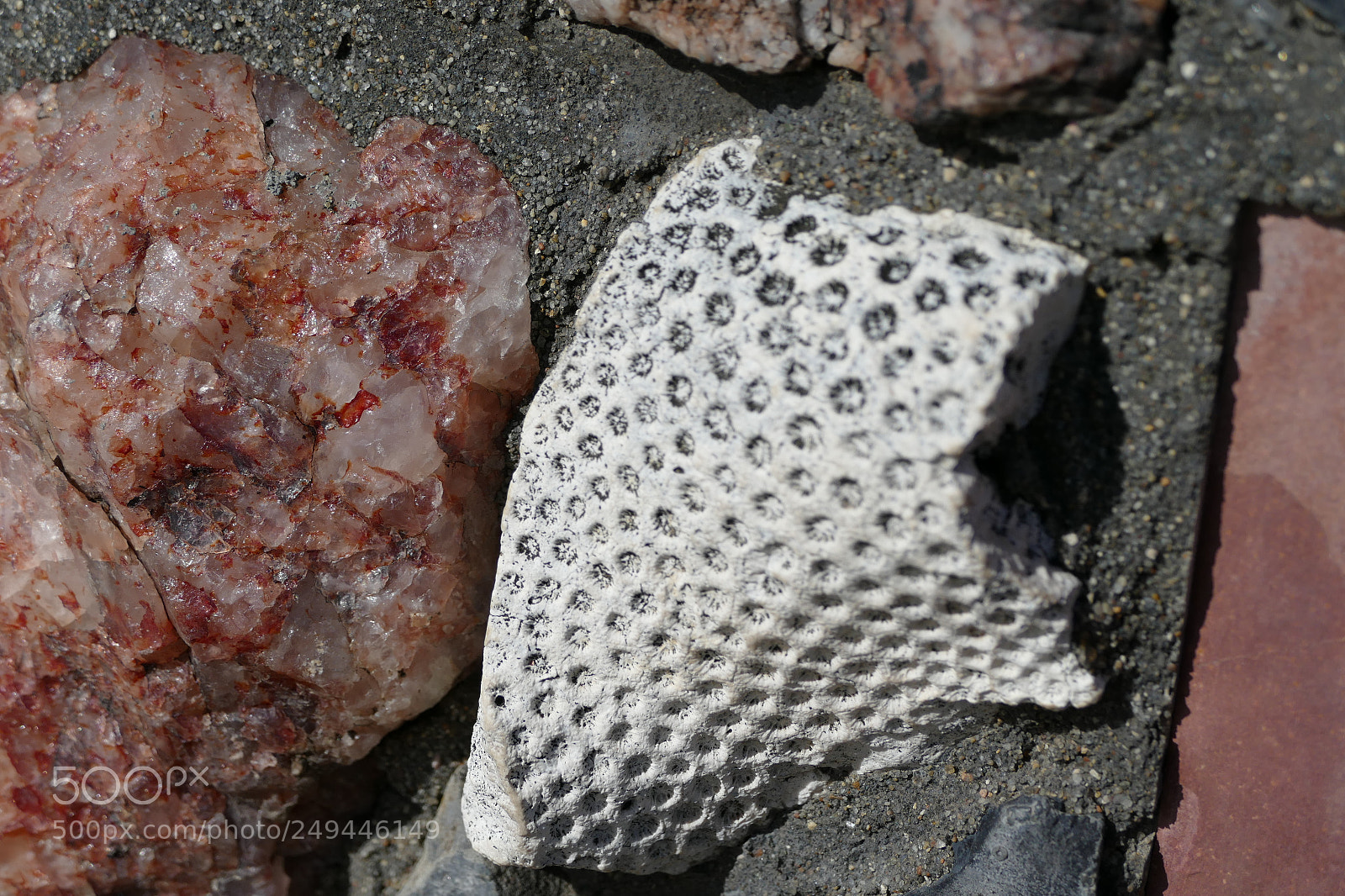 Panasonic Lumix DMC-FZ1000 sample photo. Spotted stones photography