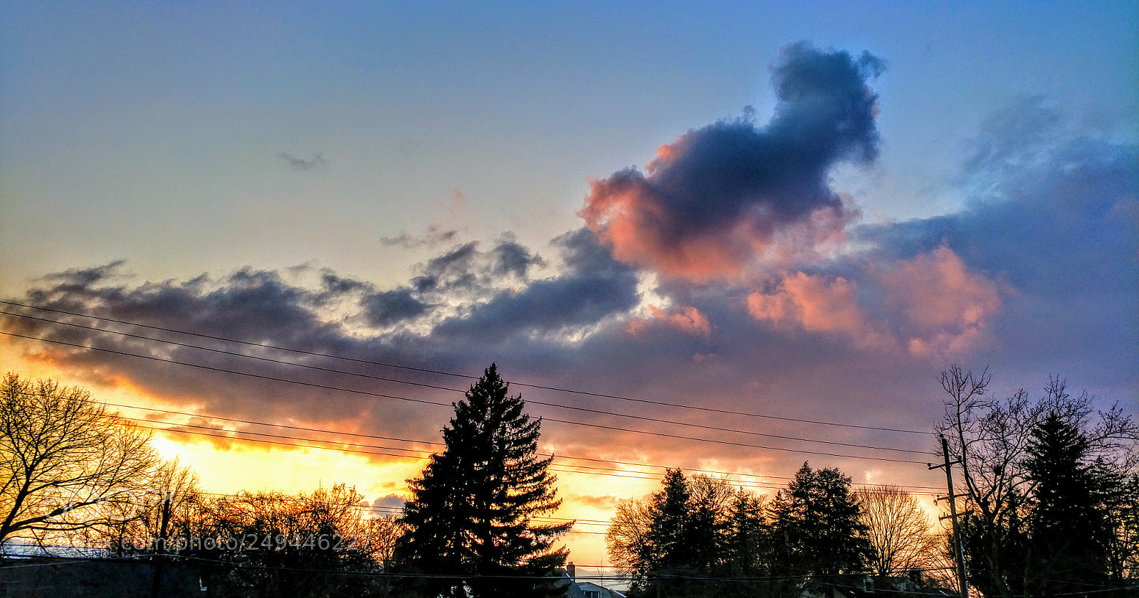 LG V20 sample photo. Untitled photography