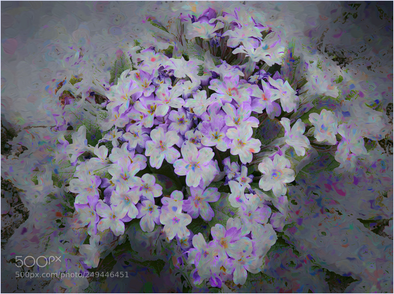 Canon EOS 50D sample photo. Pequenias photography