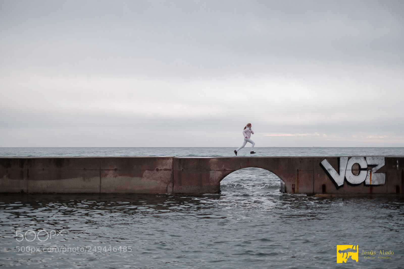 Fujifilm X-Pro2 sample photo. "flying on the sea" photography