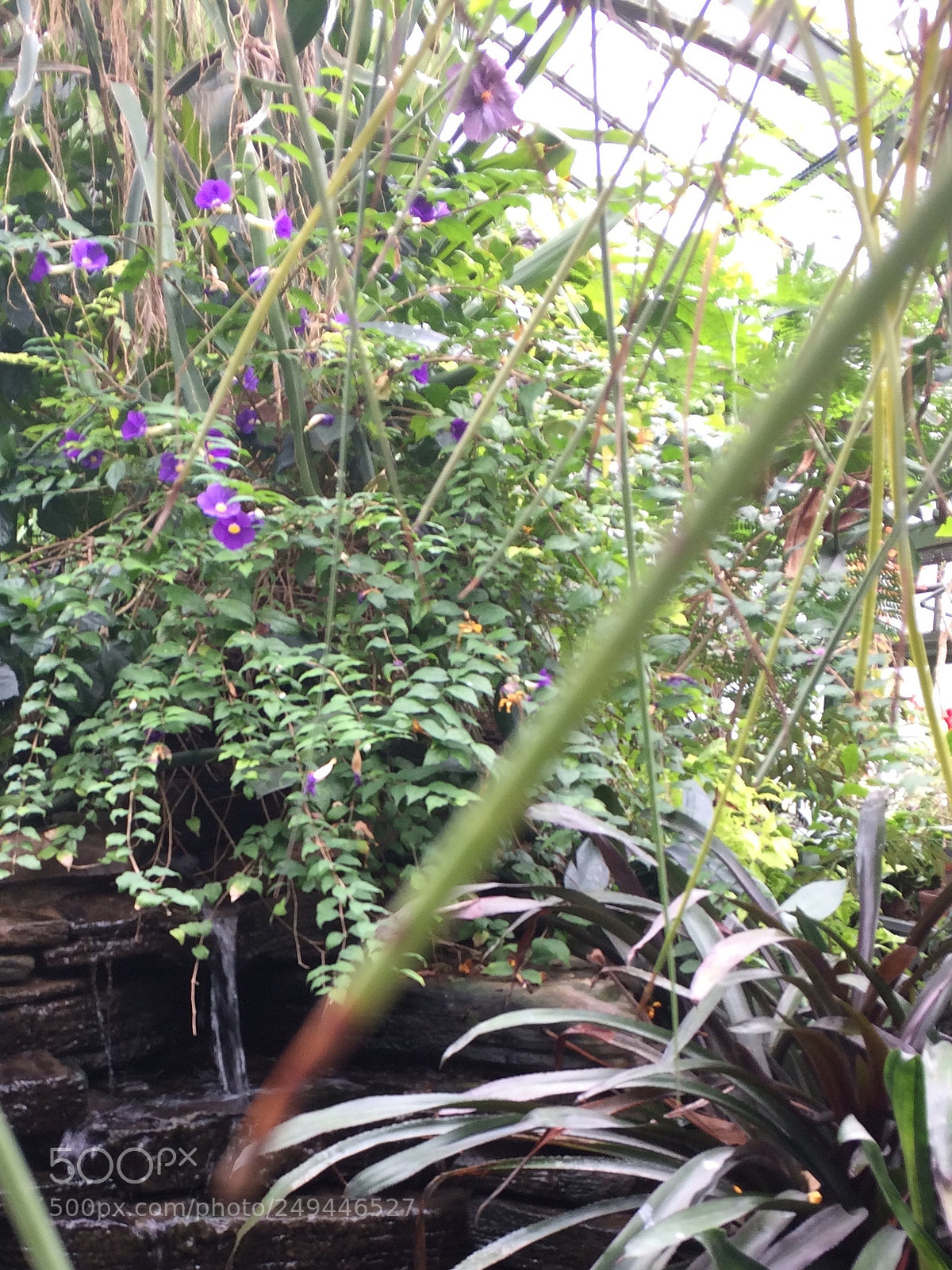 Apple iPhone 5s sample photo. Secret water photography