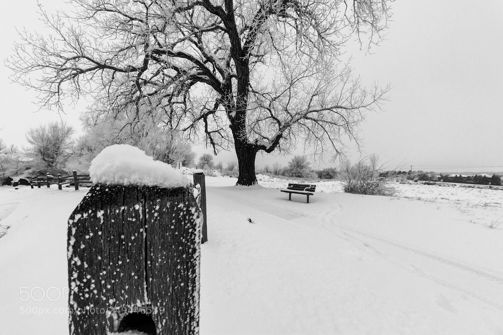 Canon EOS 500D (EOS Rebel T1i / EOS Kiss X3) sample photo. Snow covered arrowhead photography
