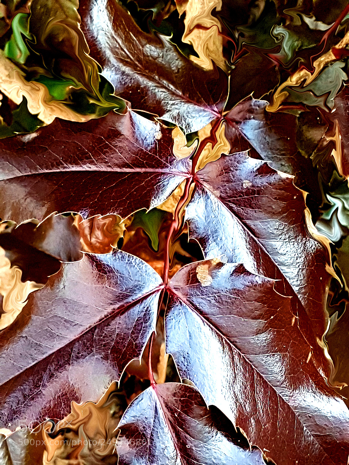 Samsung Galaxy S7 sample photo. Few leaves in the photography