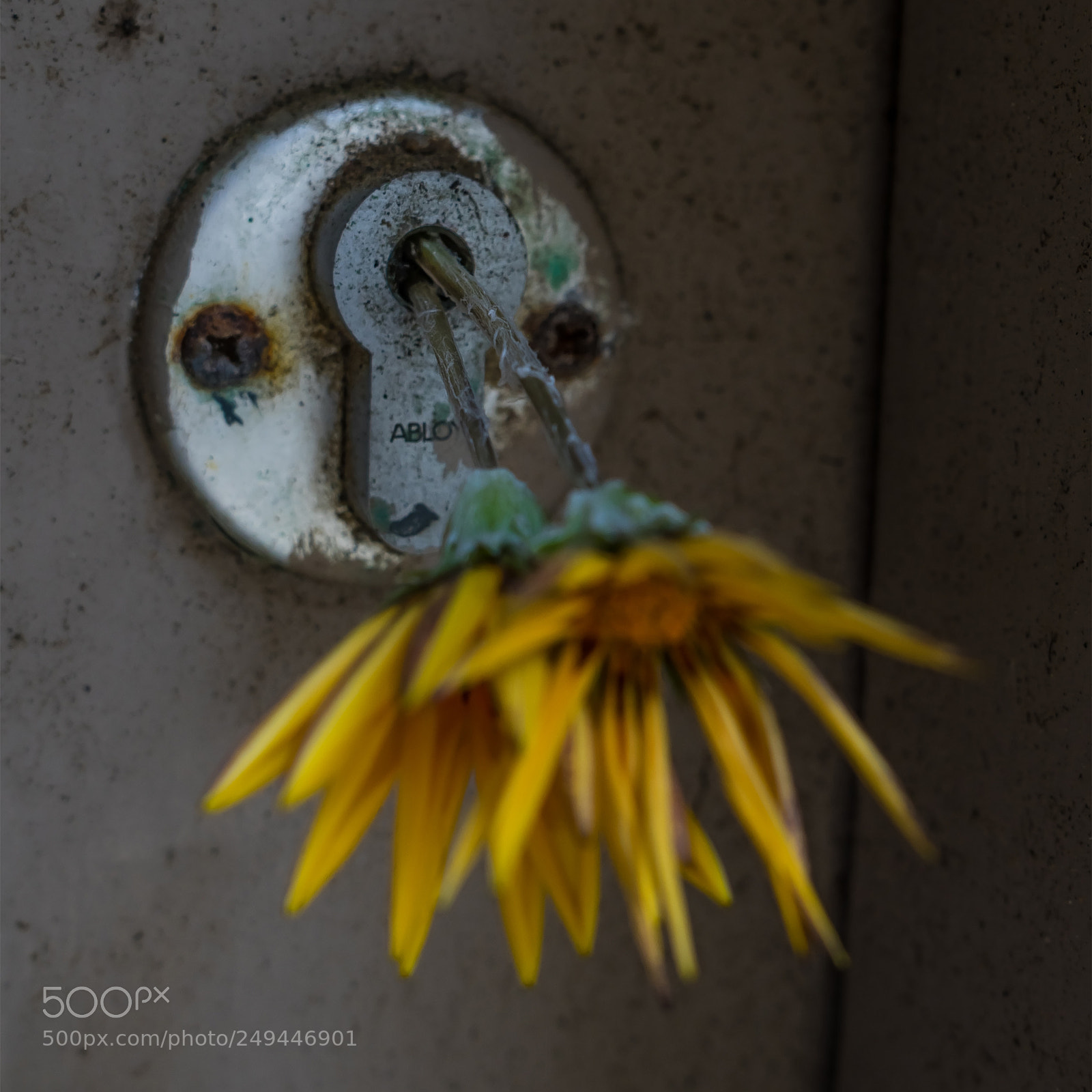 Sony a7 sample photo. Wrong key photography