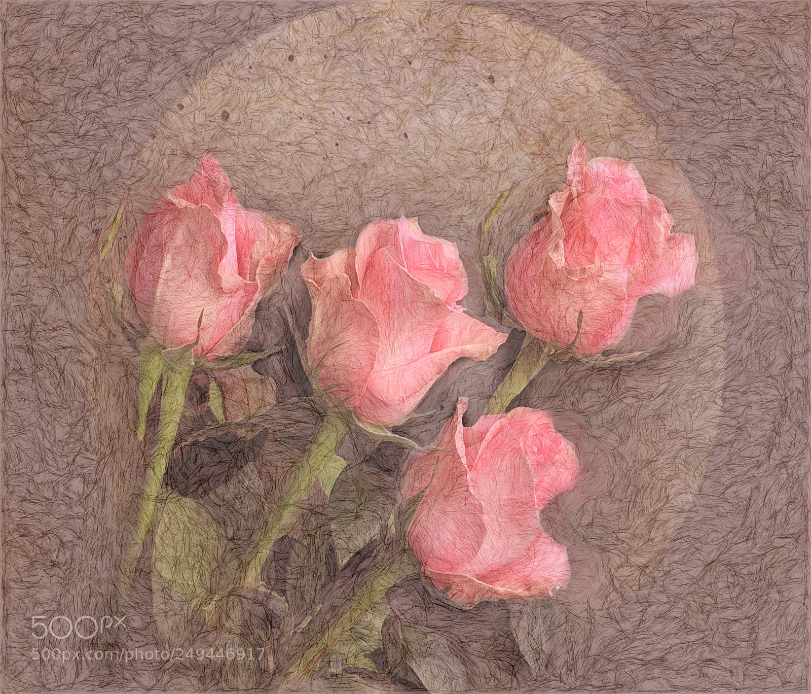 Canon EOS 50D sample photo. Cuatro rosas photography