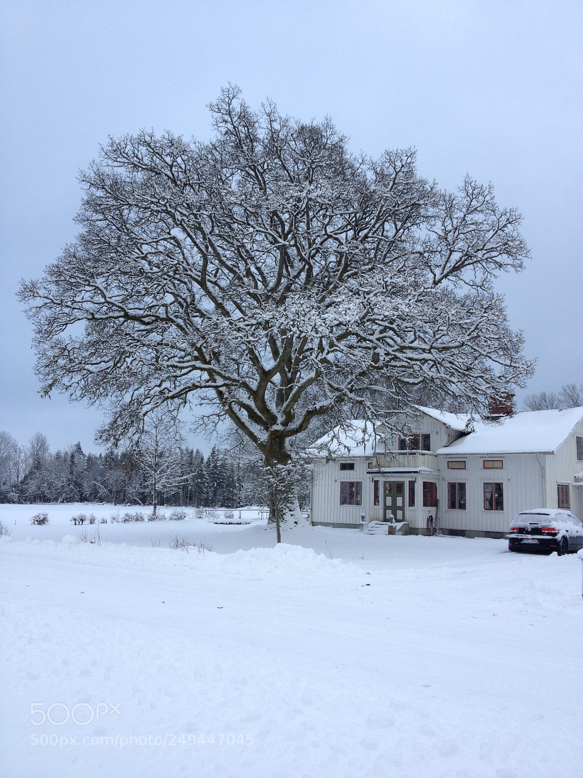 Apple iPhone 4S sample photo. Sweden, sandshult photography