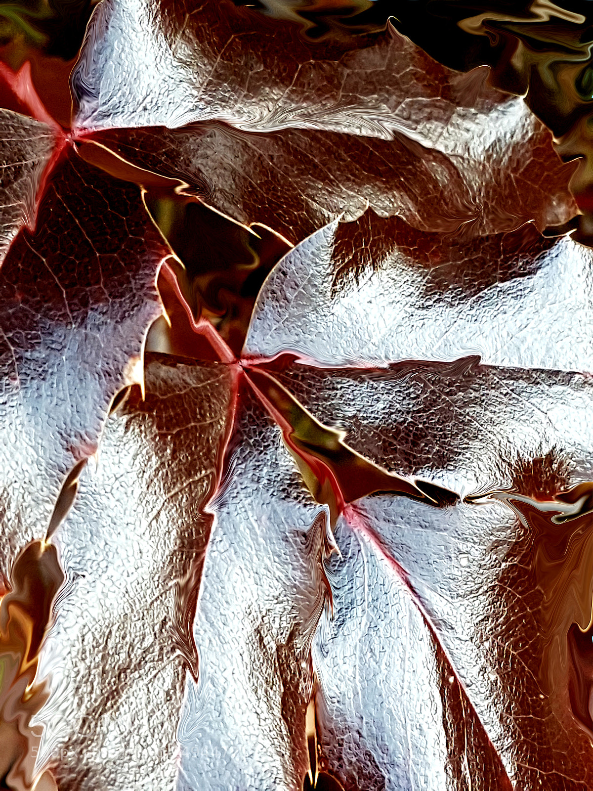 Samsung Galaxy S7 sample photo. Few leaves in the photography