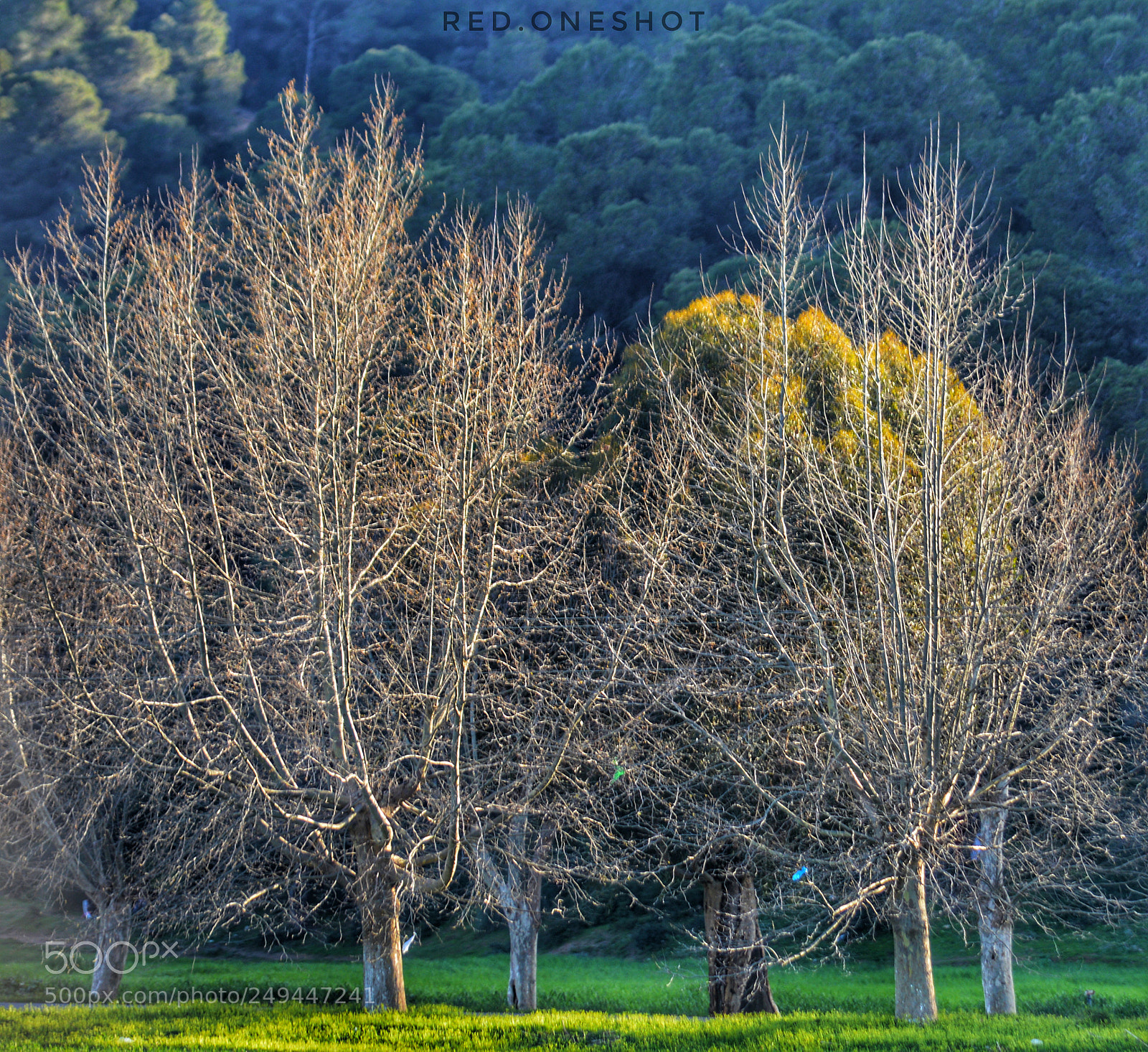 Nikon D3200 sample photo. Untitled photography