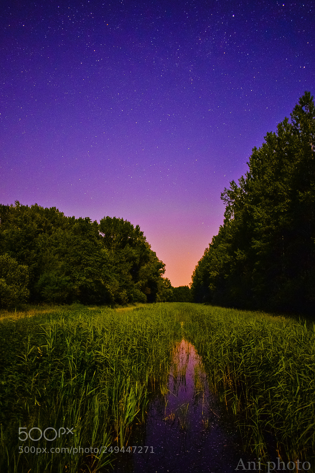 Nikon D3300 sample photo. Stars photography