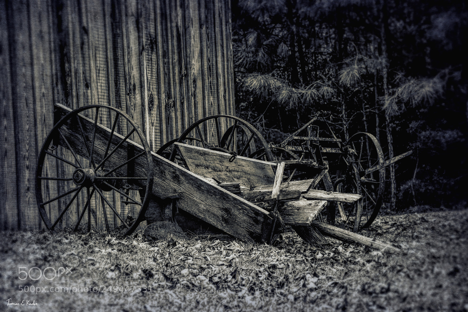 Nikon D7500 sample photo. Dfx photography