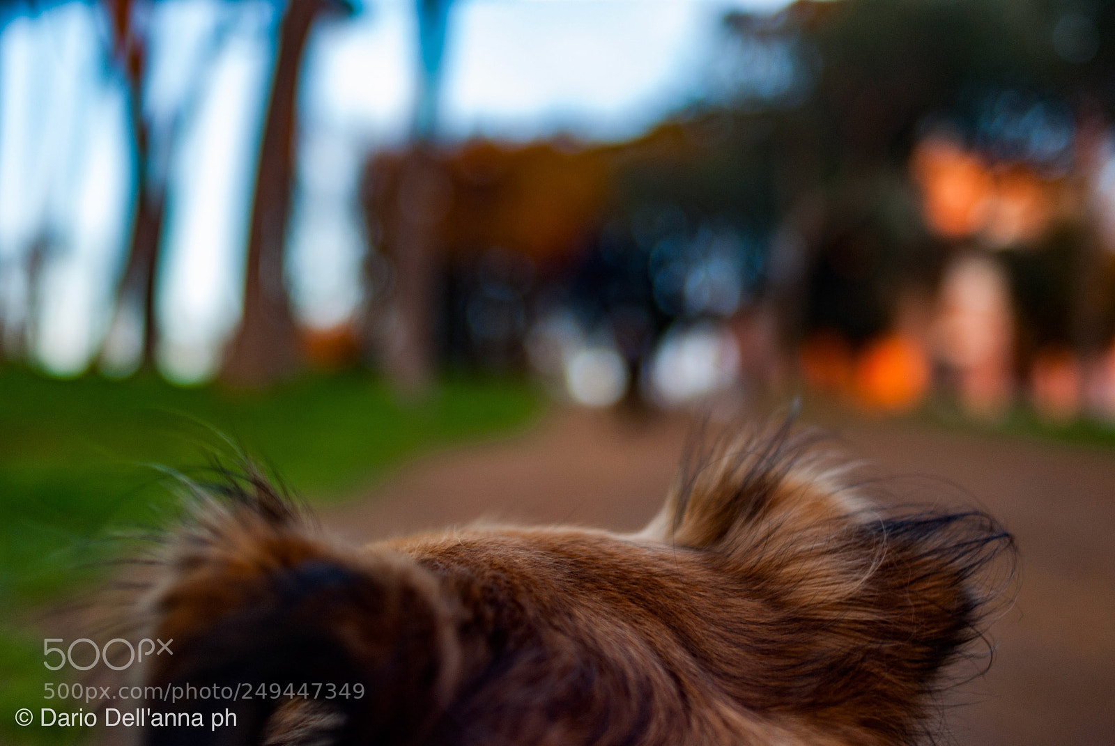 Sony Alpha DSLR-A300 sample photo. Pov photography