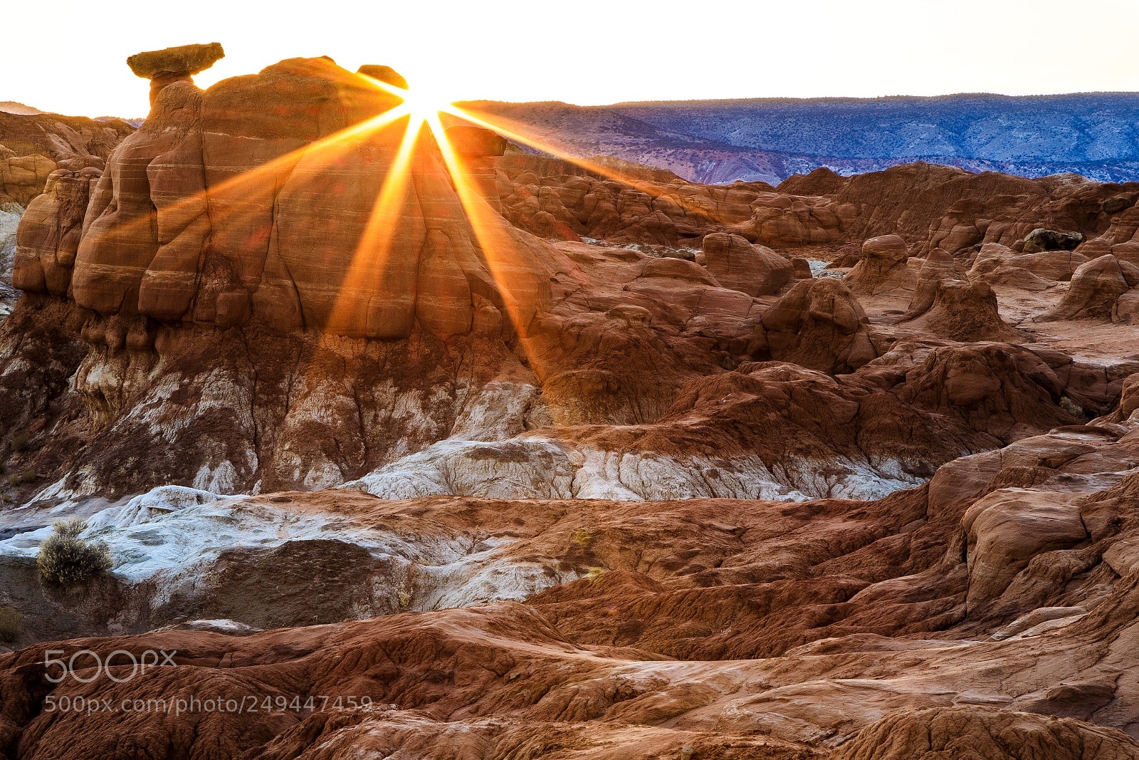 Canon EOS 5D Mark IV sample photo. Toadstools sunset photography