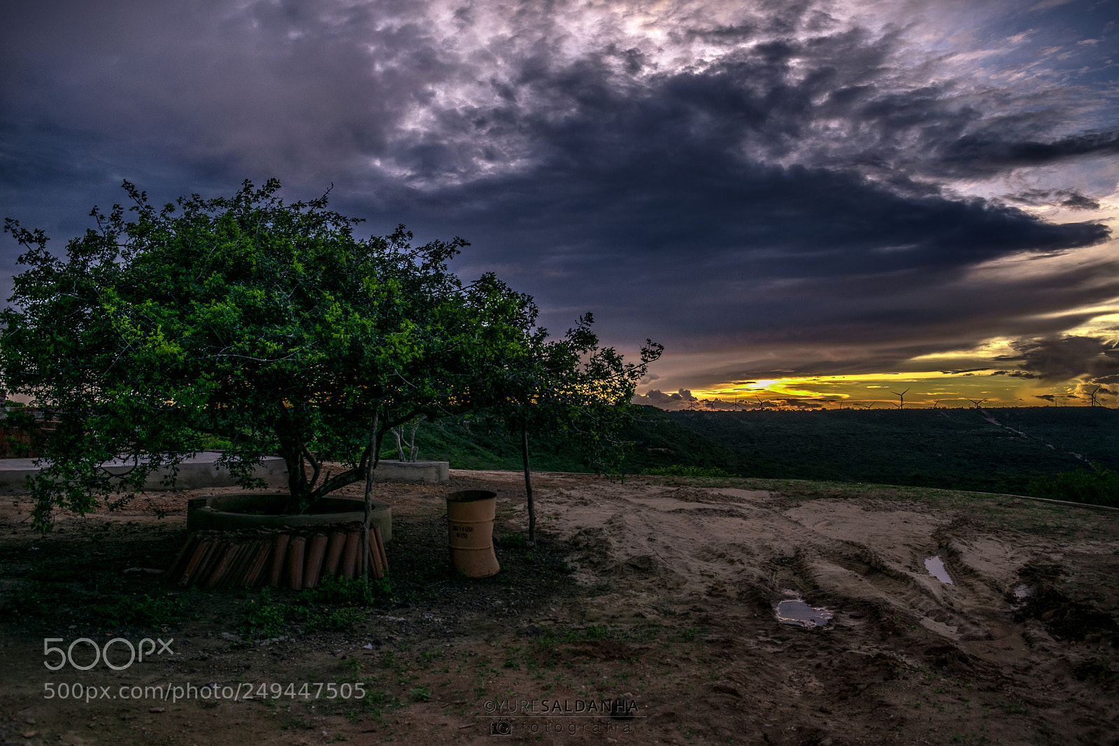 Nikon D5300 sample photo. Umbuzeiro photography