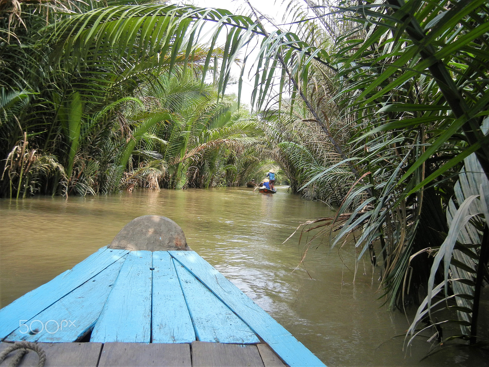 Nikon Coolpix S8100 sample photo. Mekonng river delta photography