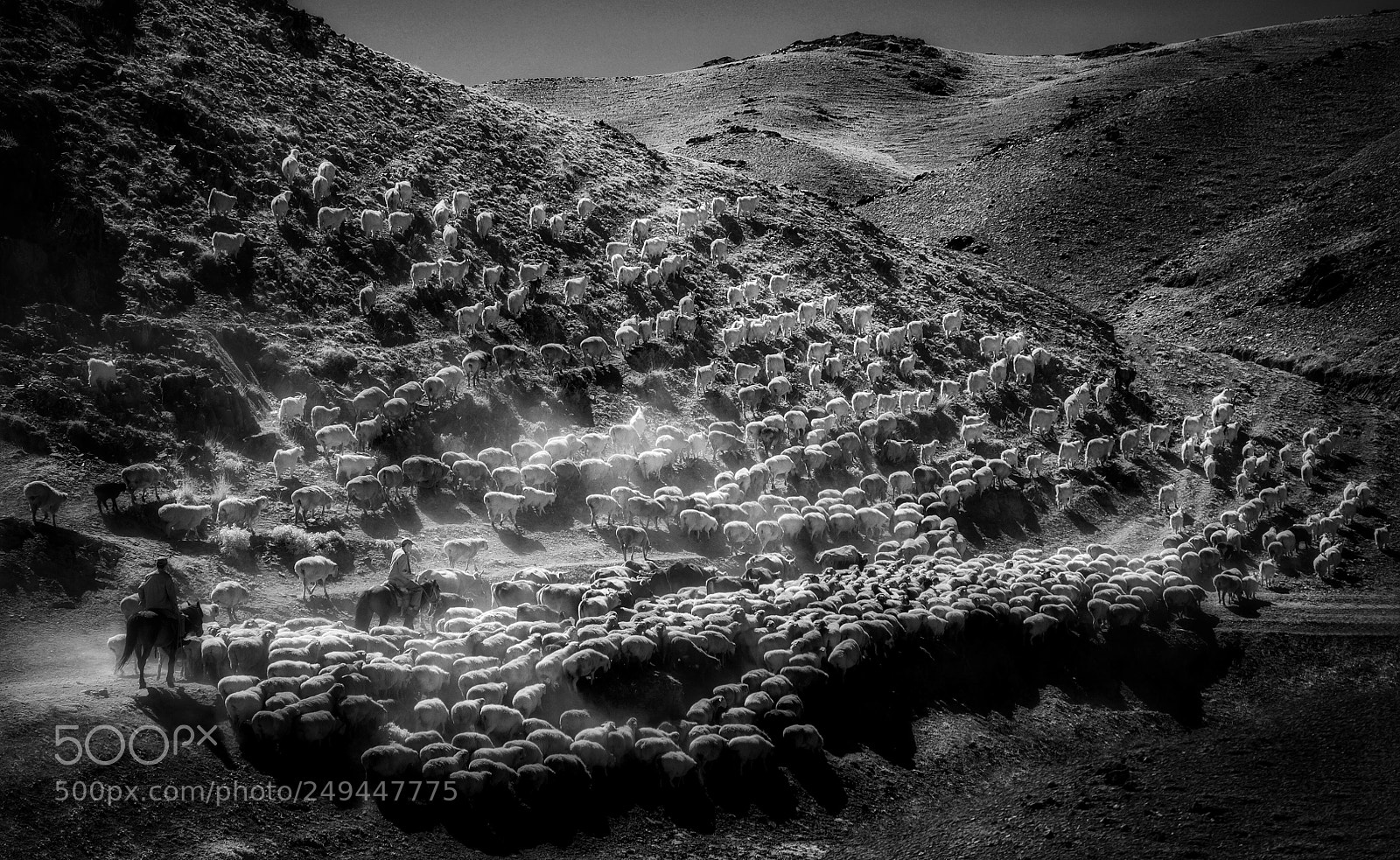 Canon EOS 5D sample photo. Xinjiang china photography