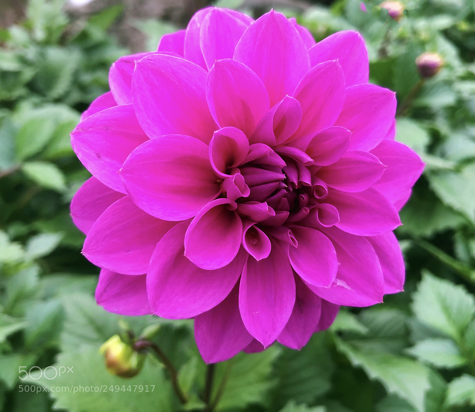 Apple iPhone X sample photo. Untitled photography