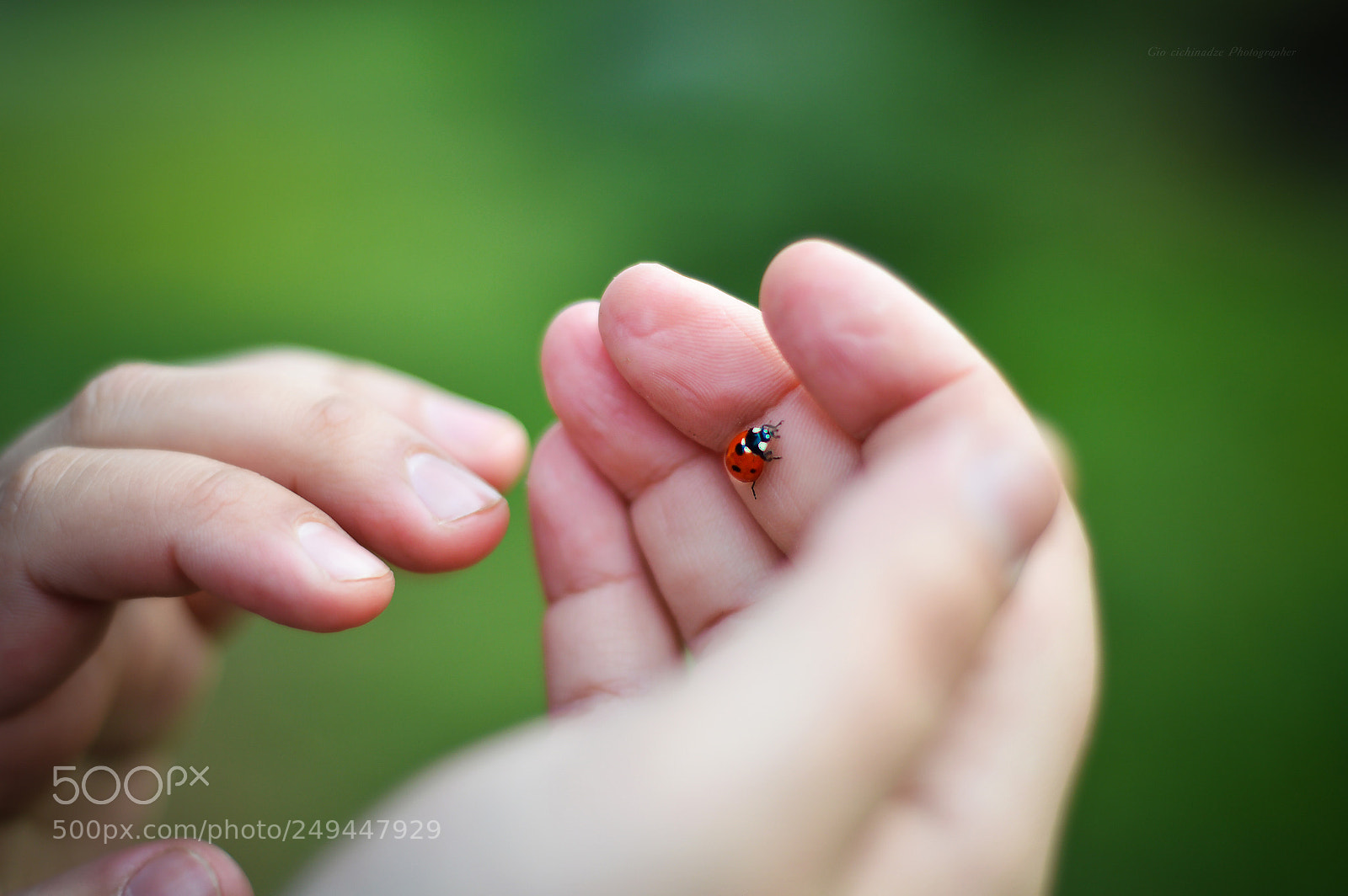 Nikon D3200 sample photo. Untitled photography