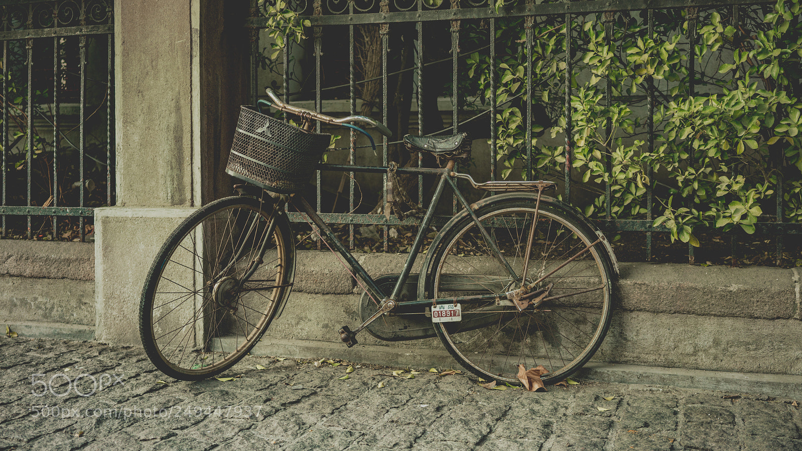 Sony a7R II sample photo. Oldbike photography