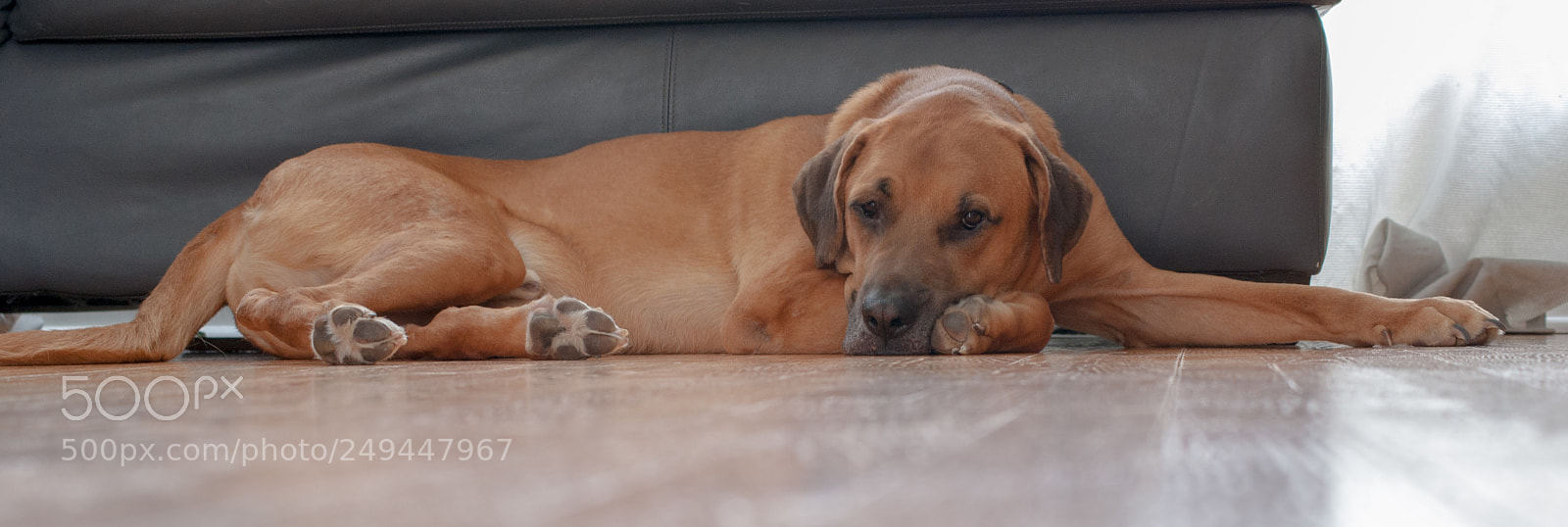 Sony Alpha DSLR-A330 sample photo. Lennon photography
