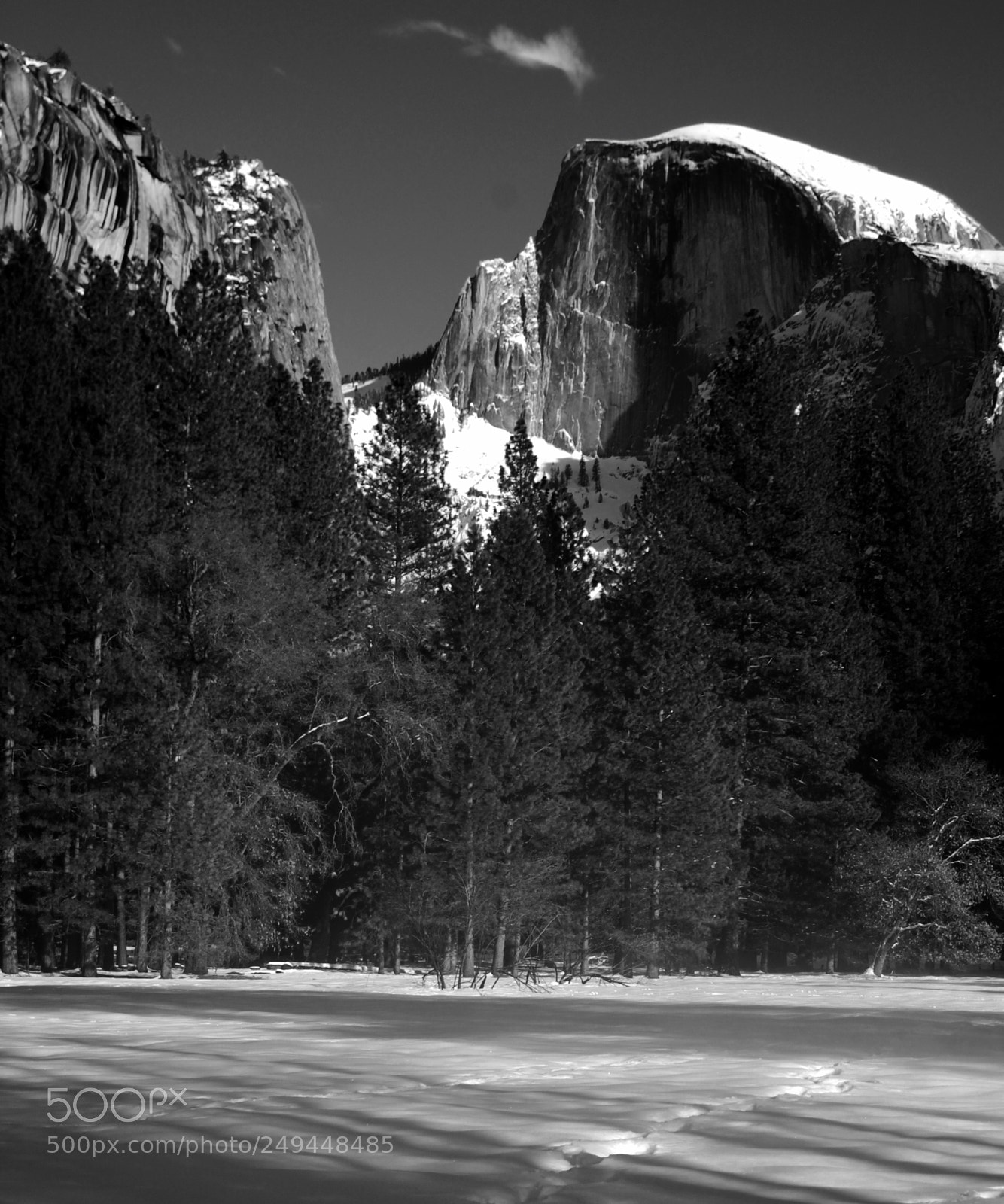 Nikon D40 sample photo. Untitled photography