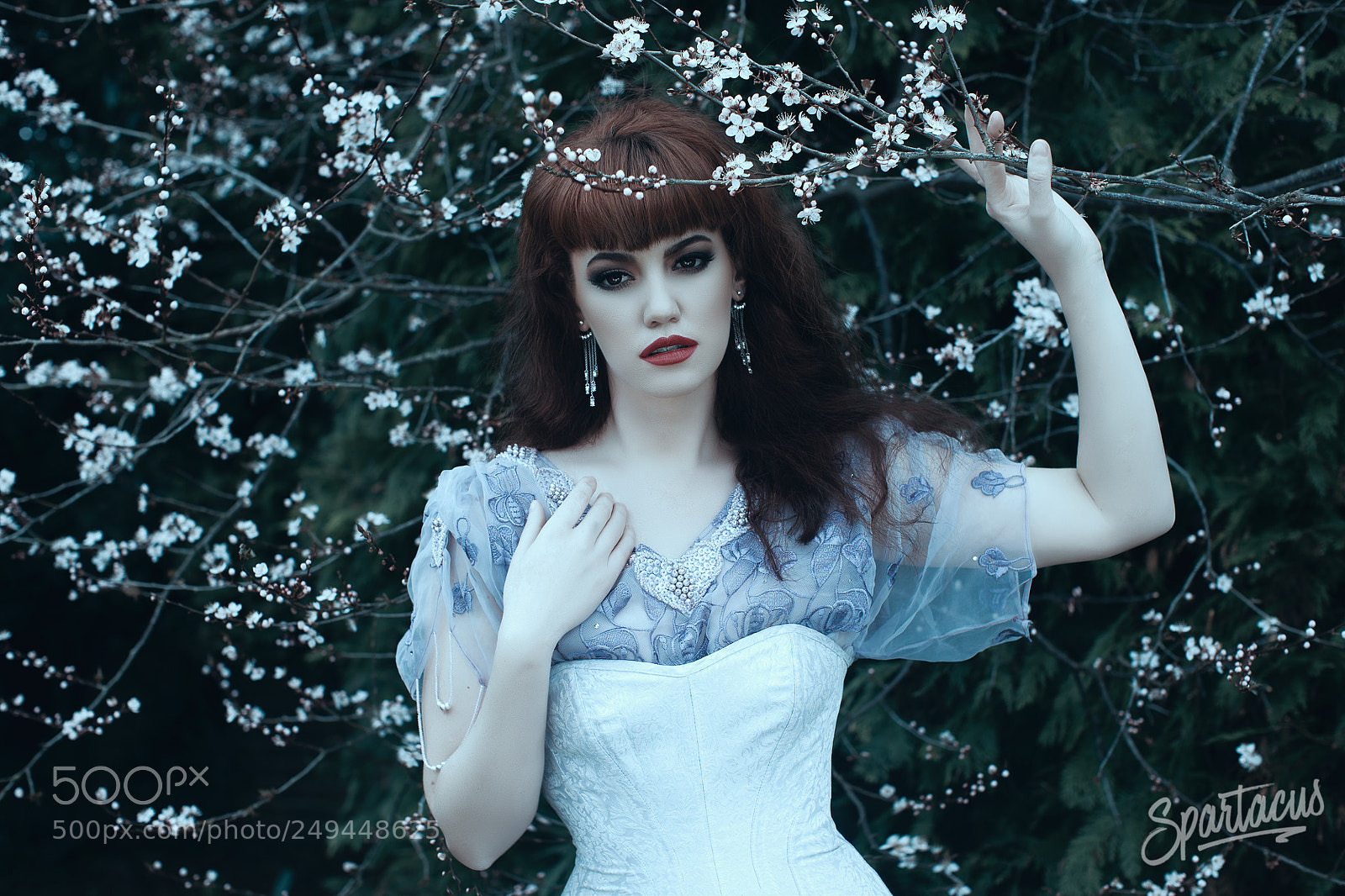 Canon EOS 5D Mark IV sample photo. Spring beauty photography