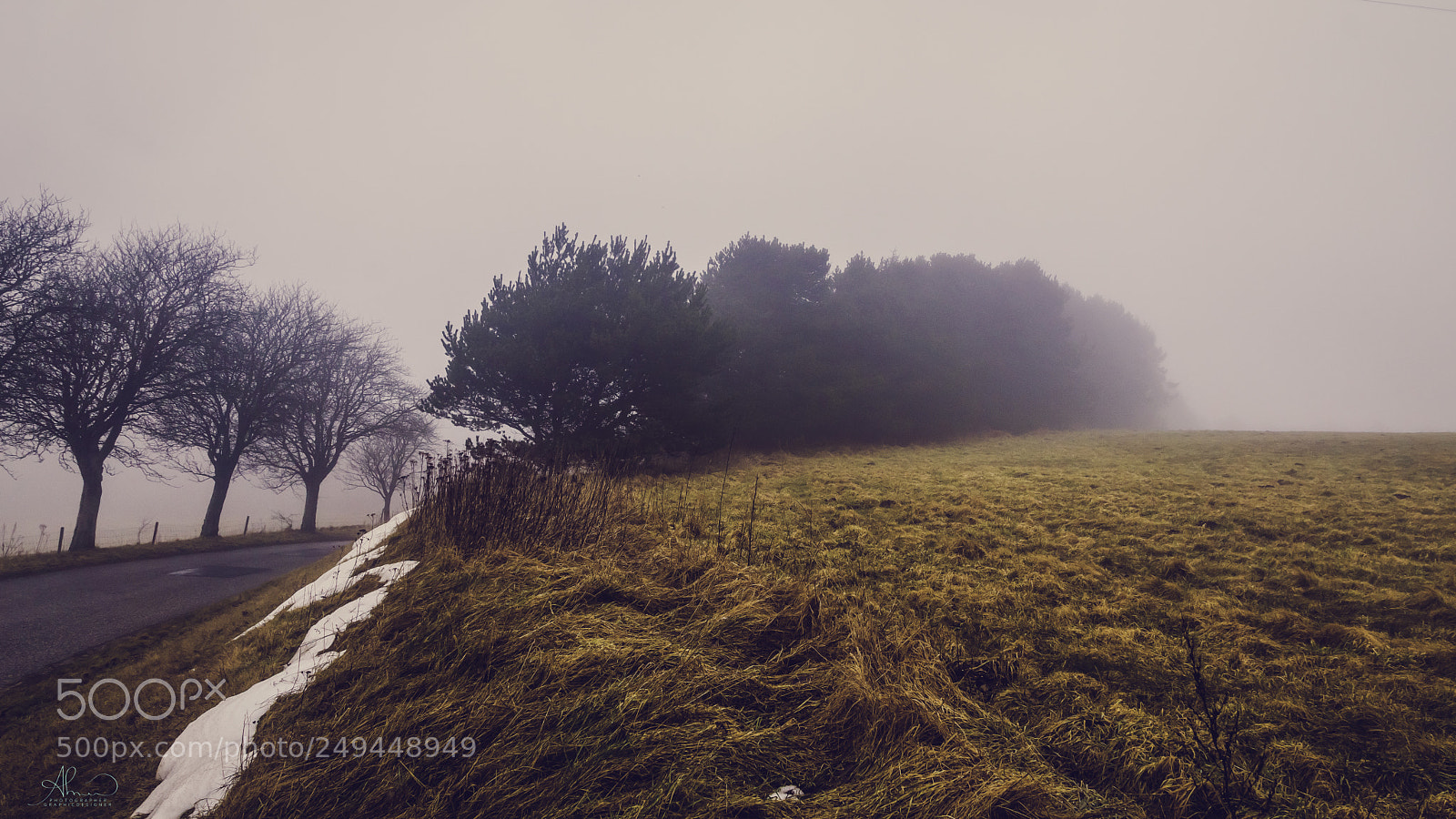 Sony SLT-A77 sample photo. A foggy day in photography