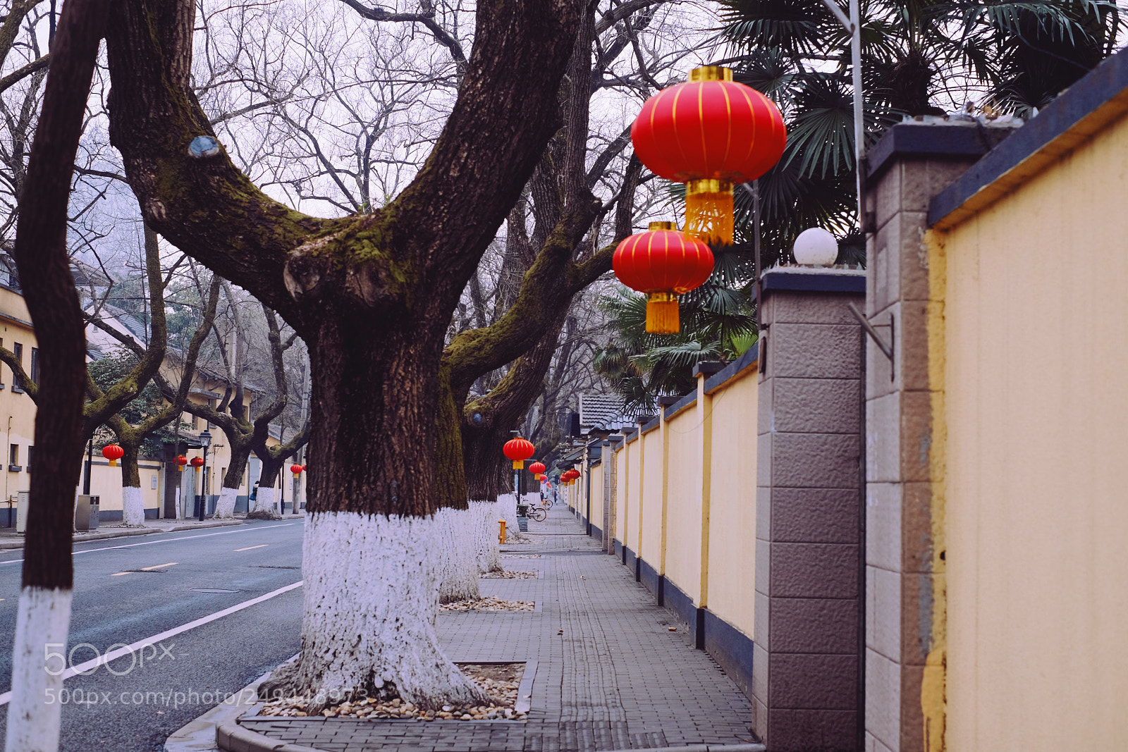 Fujifilm X-E2 sample photo. Untitled photography