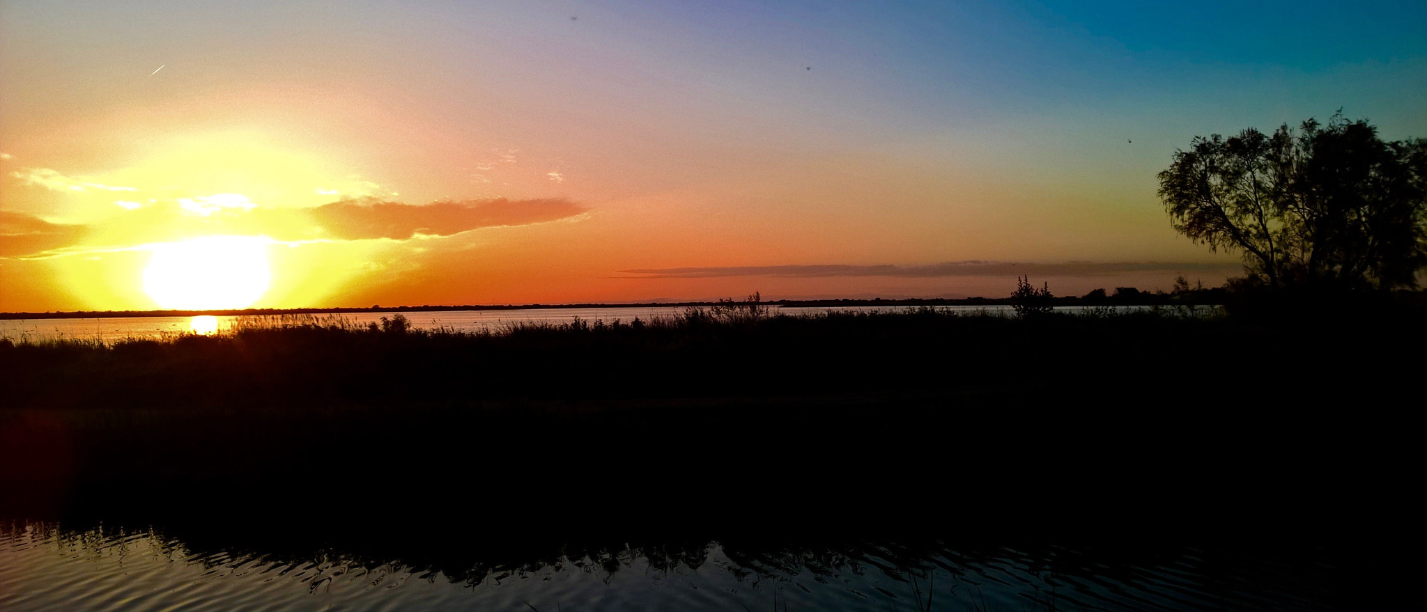 Nokia Lumia 1520 sample photo. Camargue photography