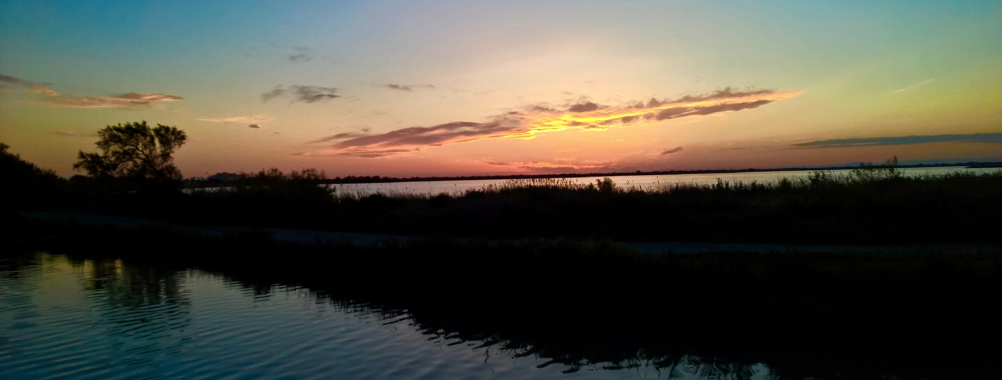 Nokia Lumia 1520 sample photo. Camargue photography