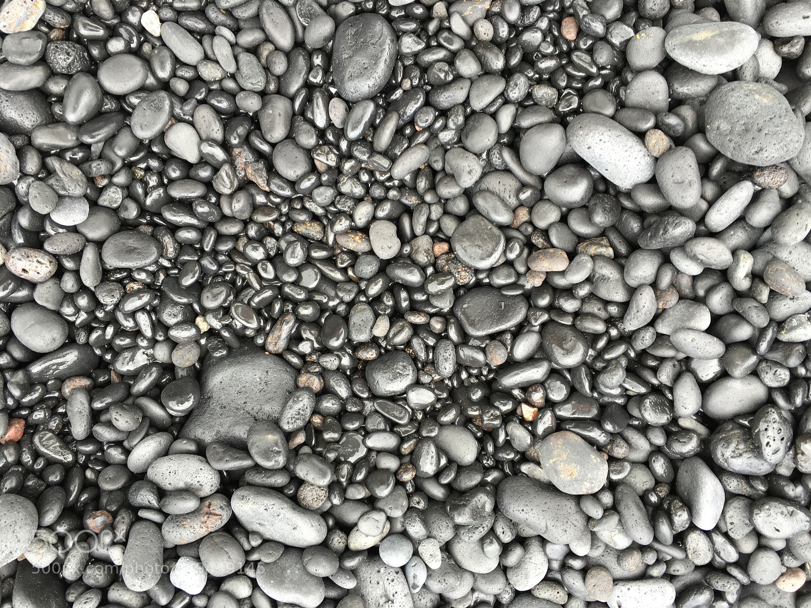 Apple iPhone 6s Plus sample photo. [] photography
