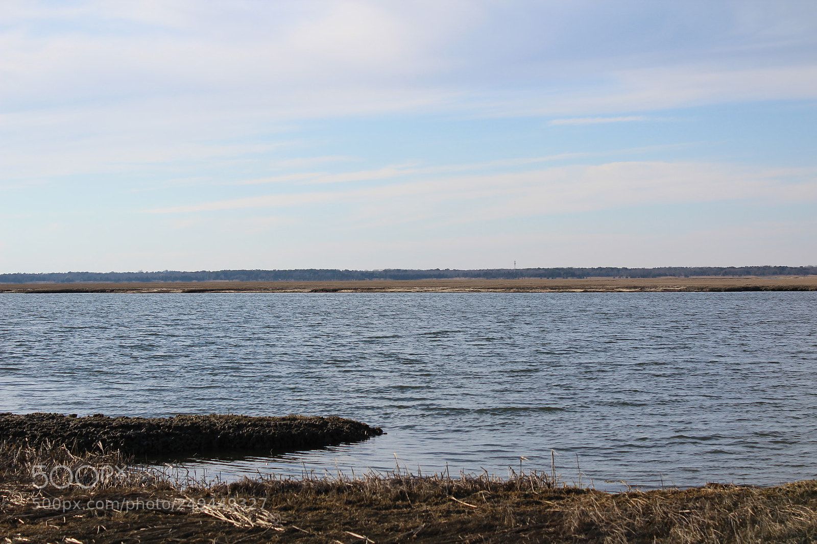 Canon EOS 600D (Rebel EOS T3i / EOS Kiss X5) sample photo. Img photography