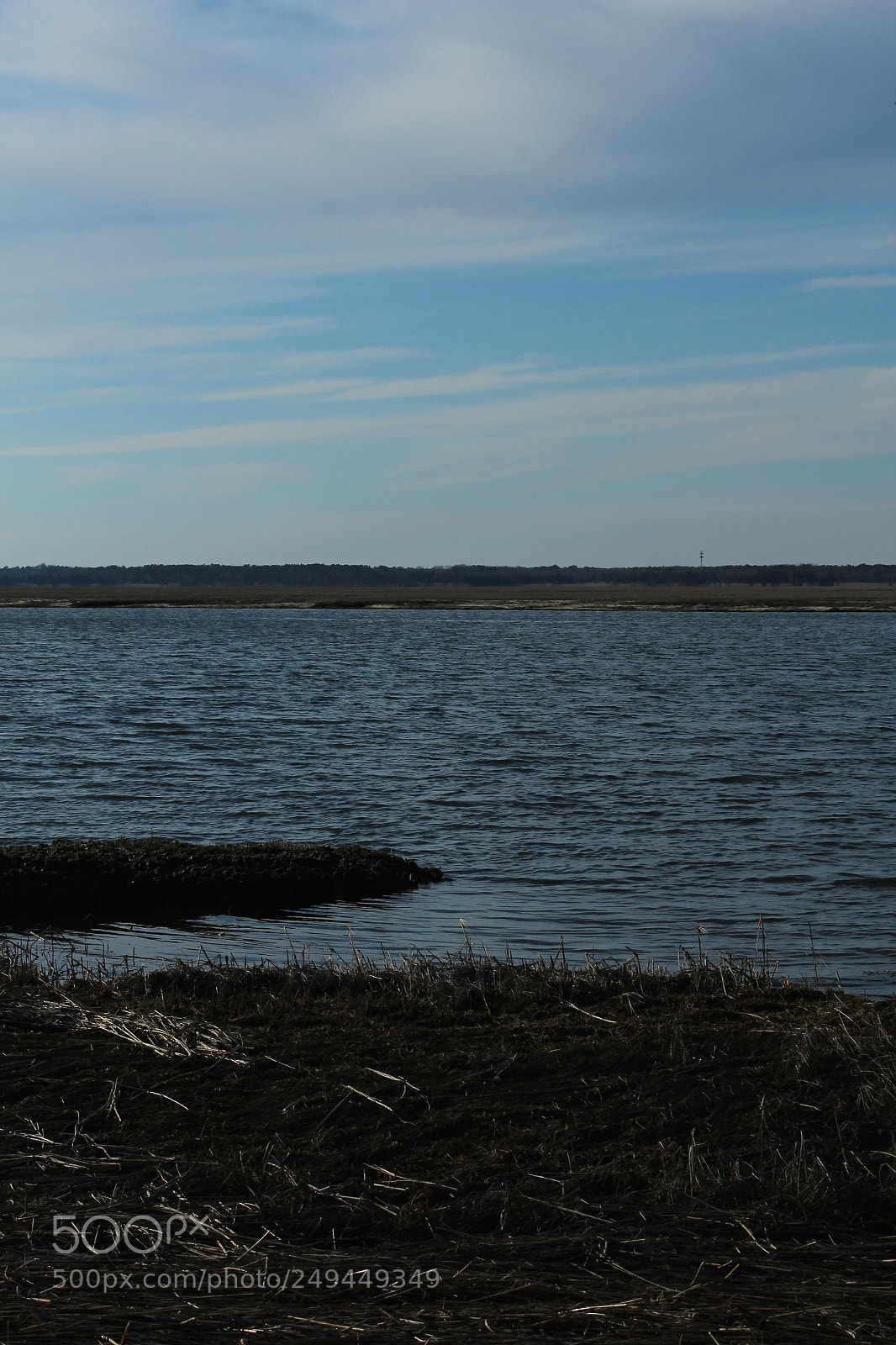 Canon EOS 600D (Rebel EOS T3i / EOS Kiss X5) sample photo. Img photography