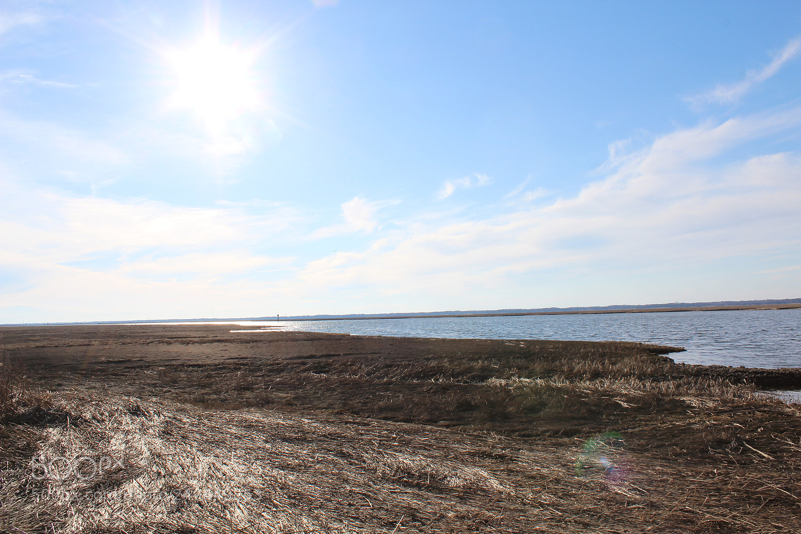 Canon EOS 600D (Rebel EOS T3i / EOS Kiss X5) sample photo. Img photography