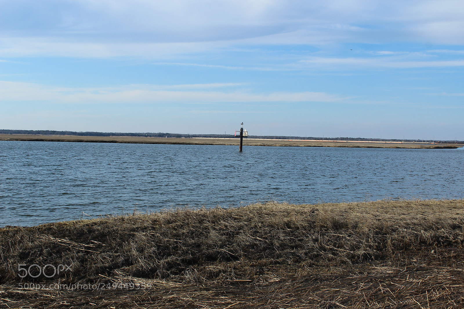 Canon EOS 600D (Rebel EOS T3i / EOS Kiss X5) sample photo. Img photography