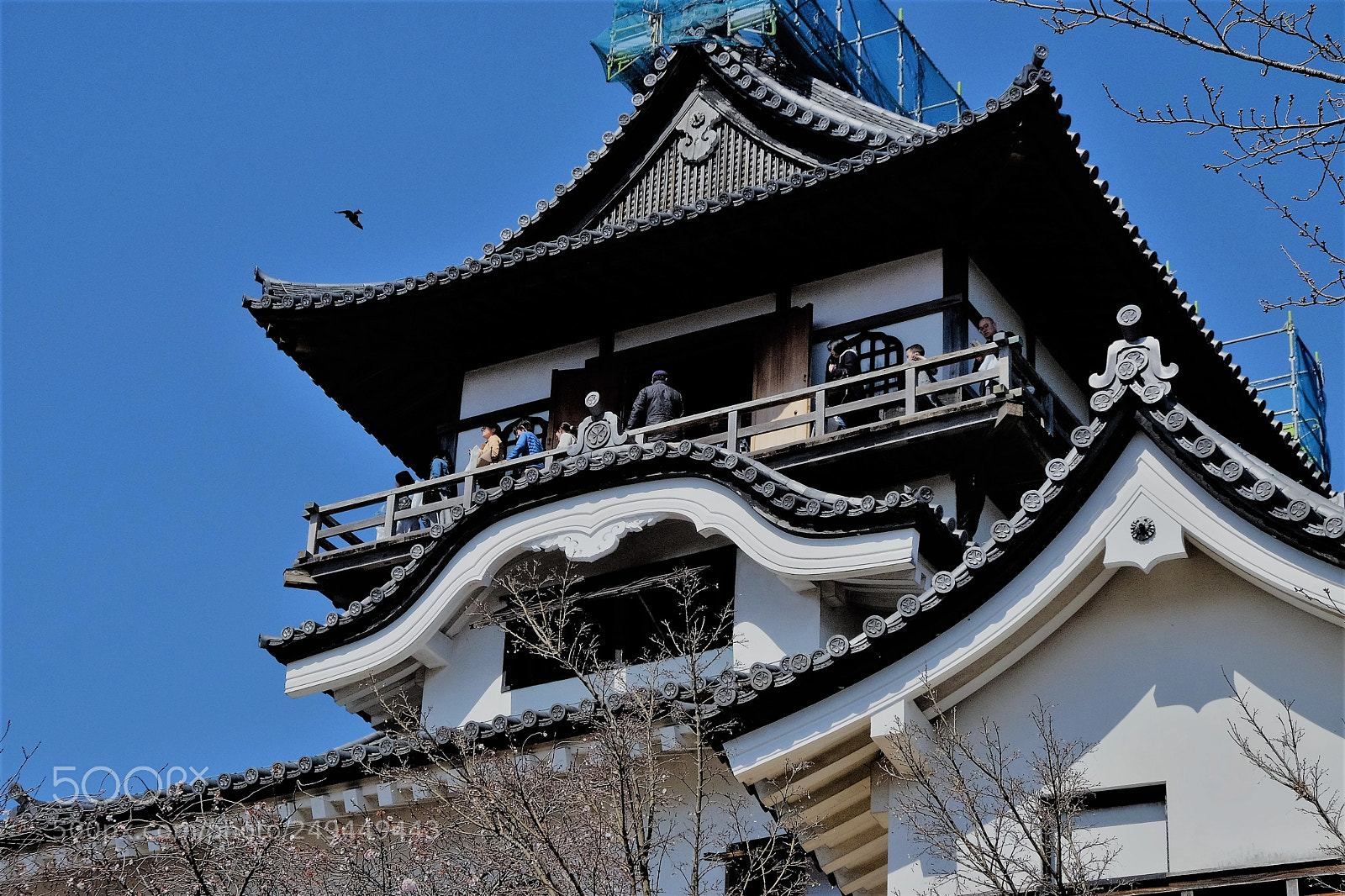Fujifilm X-T10 sample photo. Inuyama castle(treasure) photography