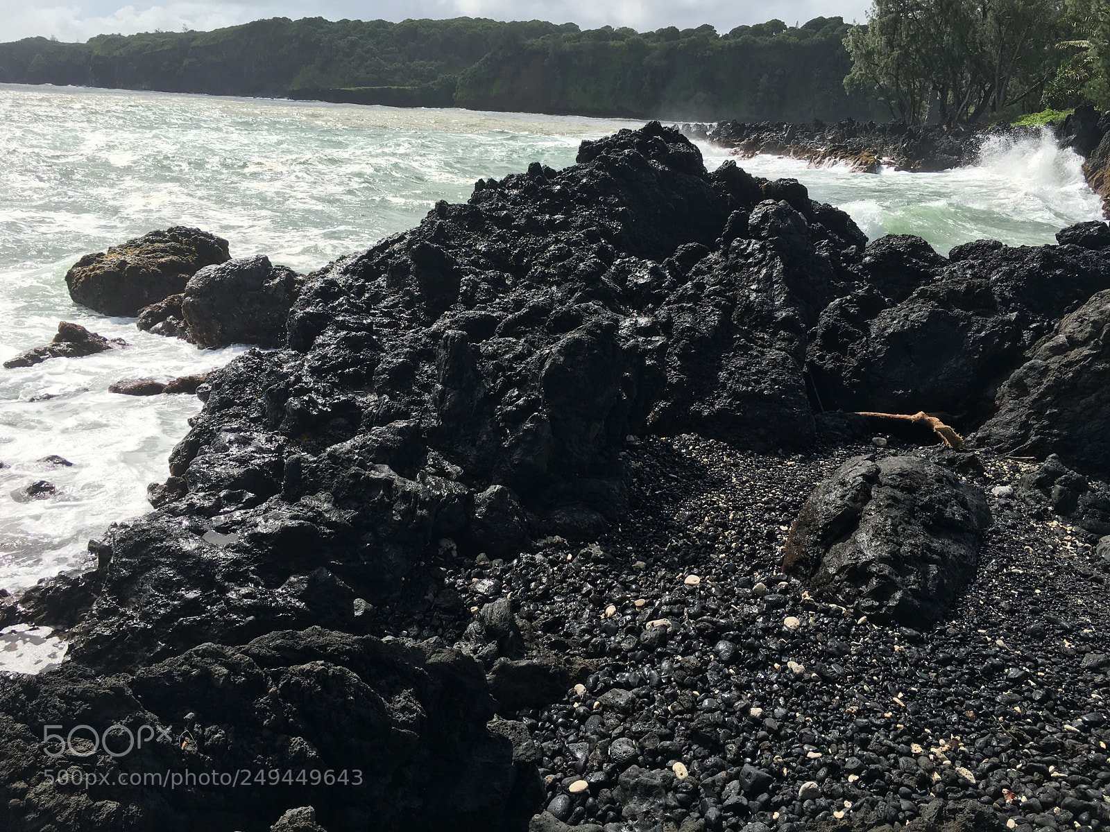 Apple iPhone 6s Plus sample photo. [] photography