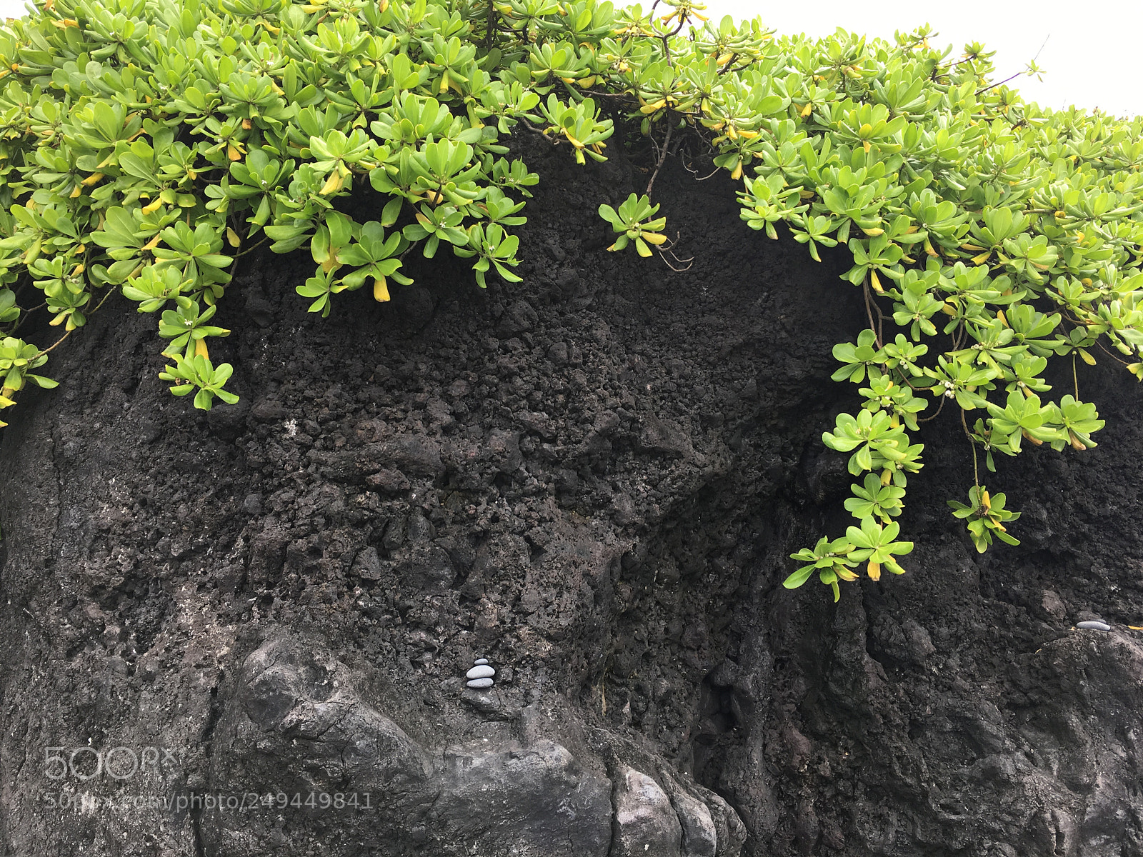 Apple iPhone 6s Plus sample photo. [] photography