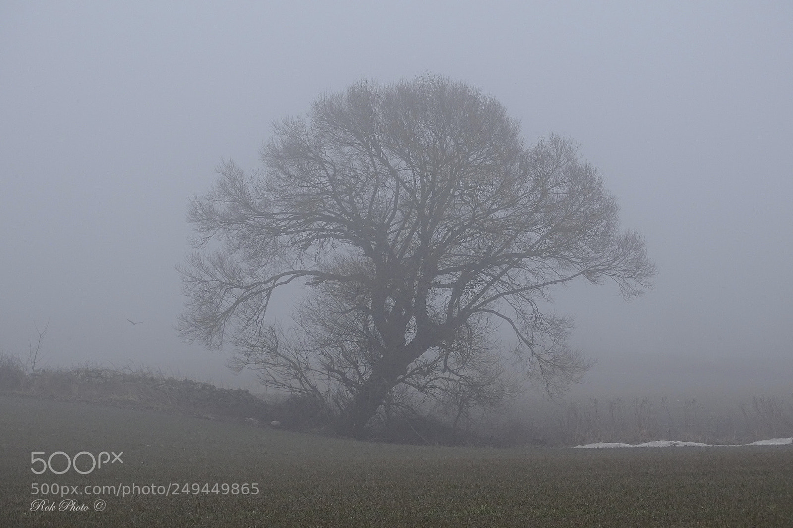 Sony Cyber-shot DSC-HX400V sample photo. The fog photography