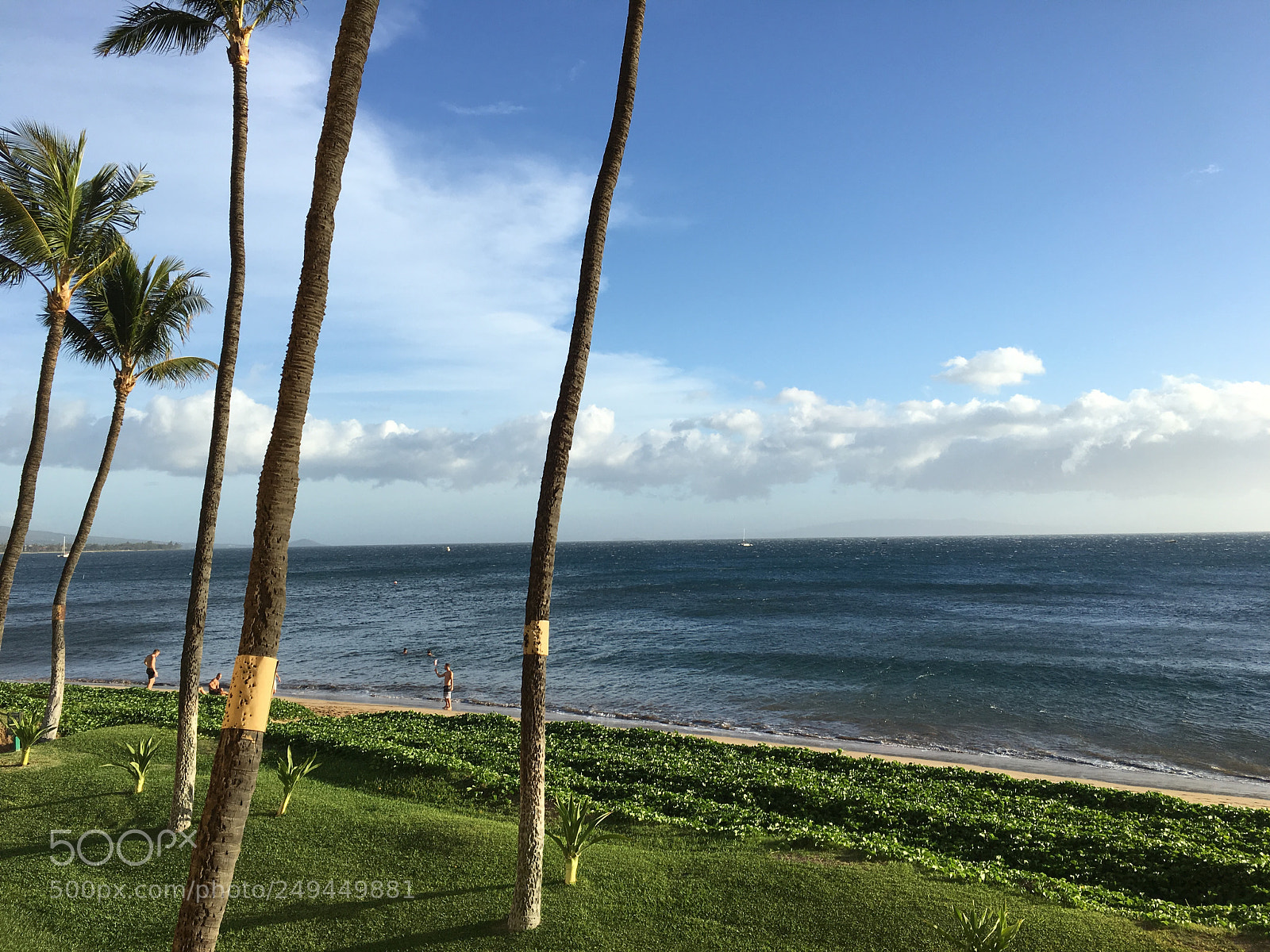 Apple iPhone 6s Plus sample photo. [] photography