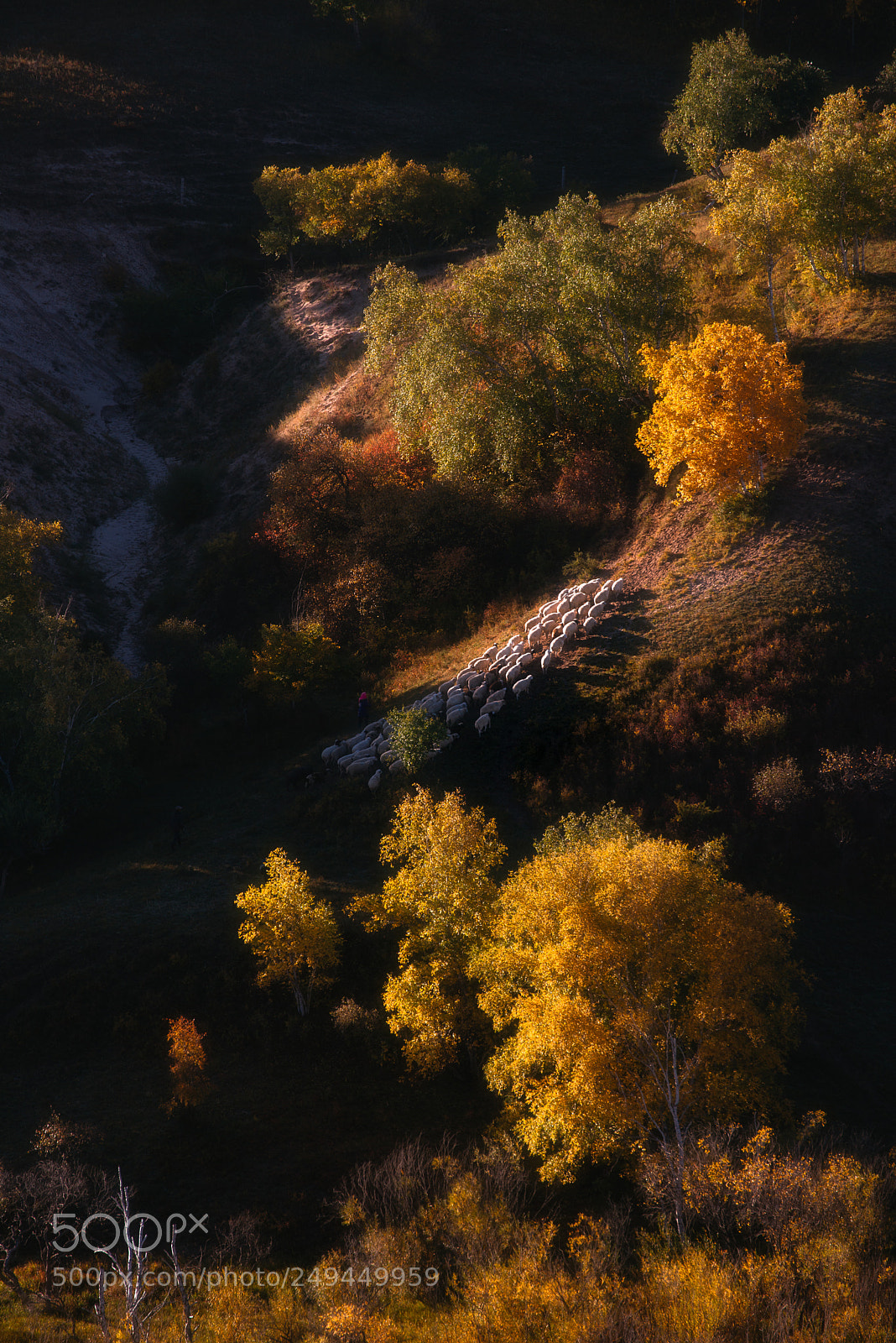 Nikon D800 sample photo. Good morning photography