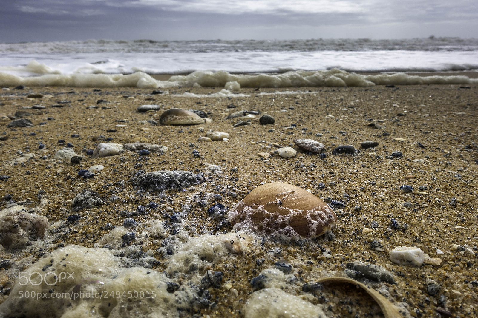 Sony Cyber-shot DSC-RX100 III sample photo. Shells on the beach photography