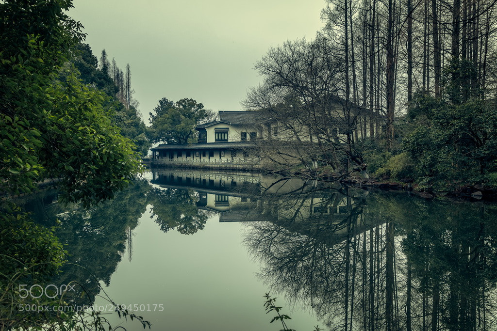 Canon EOS 6D Mark II sample photo. Reflection photography