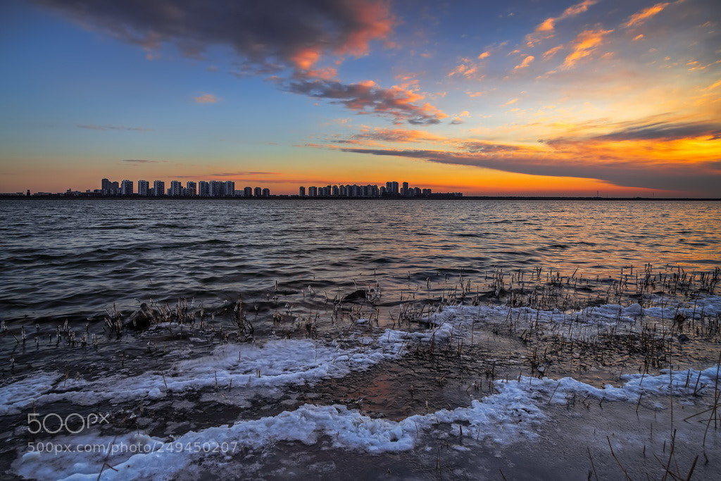 Canon EOS 6D Mark II sample photo. The color of morning photography