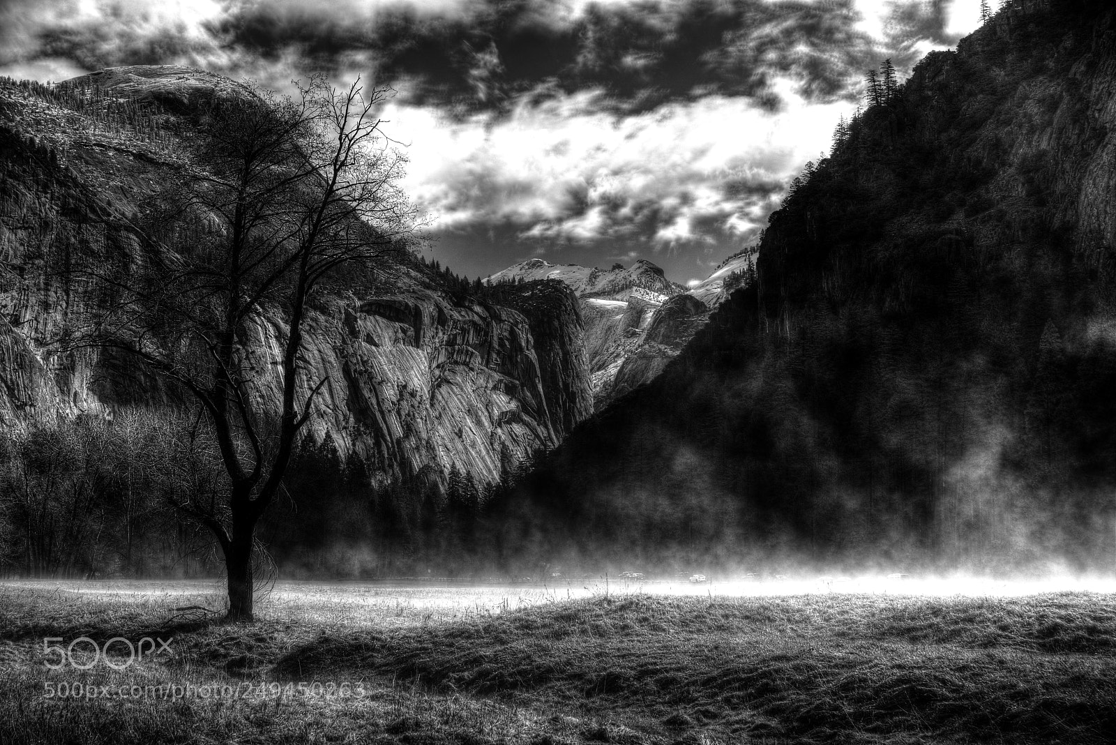 Nikon D800 sample photo. Mist at yosemite photography