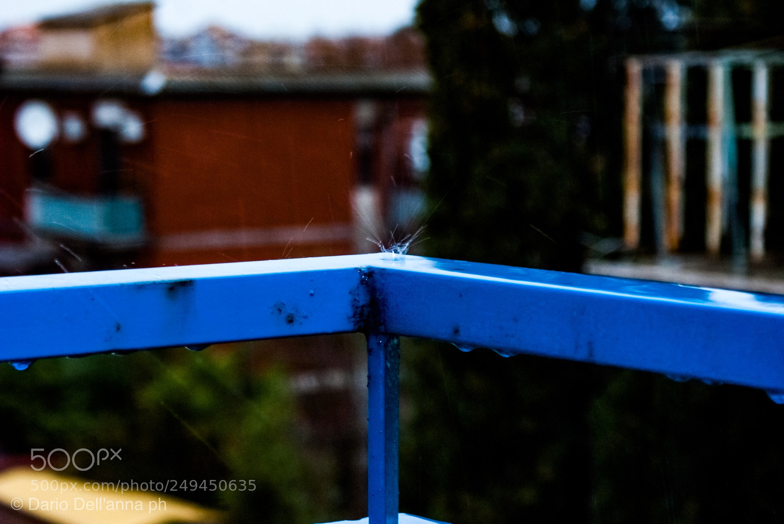 Sony Alpha DSLR-A300 sample photo. Raining photography