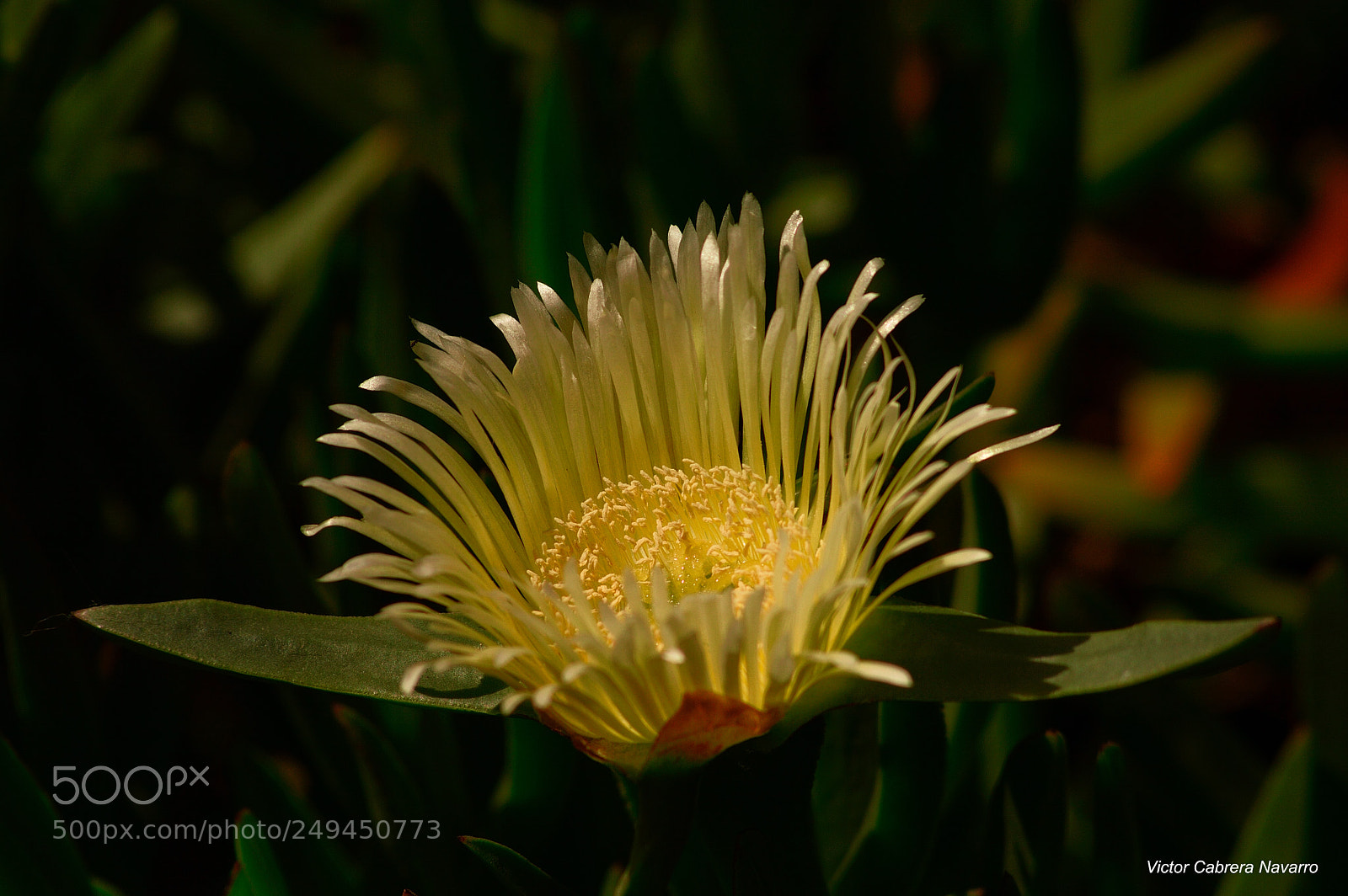 Nikon D3200 sample photo. Fy7 photography